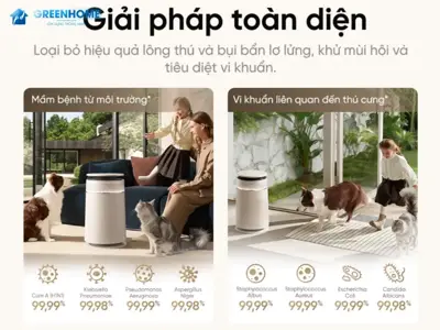 Máy Lọc Không Khí Có Thực Sự Hiệu Quả? Đâu Là Lựa Chọn Phù Hợp